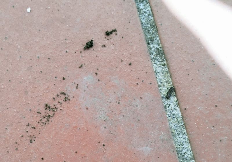 Tracce in terrazza